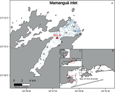 Carbon Flow for Plankton Metabolism of Saco do Mamanguá Ría, Bay of Ilha Grande, a Subtropical Coastal Environment in the South Brazil Bight